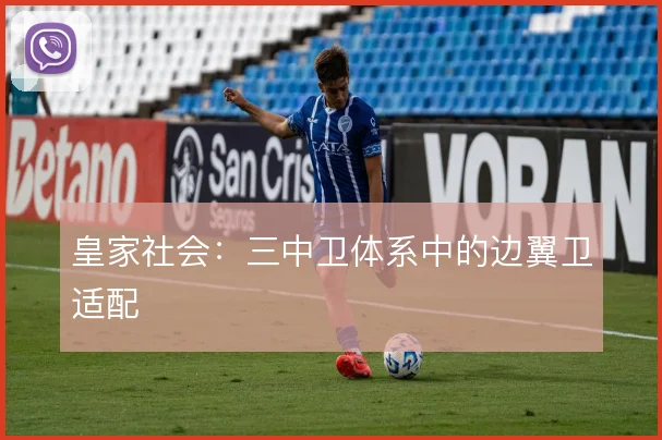 皇家社会:三中卫体系中的边翼卫适配
